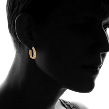 Load image into Gallery viewer, 18K Gold Plated Hoop Earrings