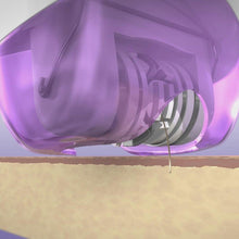 Load image into Gallery viewer, 2-Pack: Epi Smooth Hair Removal System