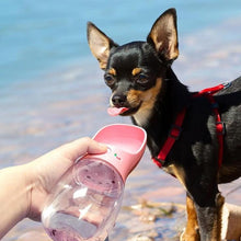 Load image into Gallery viewer, Doggy Bottle