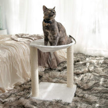 Load image into Gallery viewer, Paws & Pals 3-in-1 Cat Scratching Post with Hammock and Toy