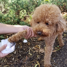 Load image into Gallery viewer, Paws & Pals Pet Grooming Wipes Hypo-Allergenic Cleansing and Deodorizing