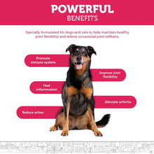 Load image into Gallery viewer, Hip and Joint Advanced Level 2 Formula All Natural Glucosamine Supplement for Dogs and Cat