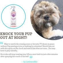 Load image into Gallery viewer, Paws & Pals Pet Natural Calming Spray Cologne or Chews Treat for Dogs and Cats