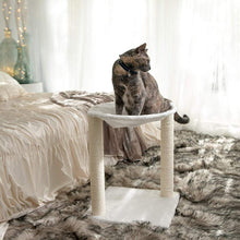 Load image into Gallery viewer, Paws & Pals 3-in-1 Cat Scratching Post with Hammock and Toy
