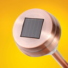 Load image into Gallery viewer, 6-Pack: EcoThink Outdoor Solar LED Pathway Light
