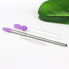 Load image into Gallery viewer, 3-Pack: Expandable Steel Straw