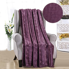 Load image into Gallery viewer, Louvre Throw Flannel Fleece Blanket