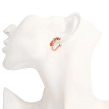 Load image into Gallery viewer, Mona Lisa Rainbow Earrings Made with Swarovski Elements