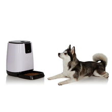 Load image into Gallery viewer, Smart Programmable Automatic Feeder for Pets