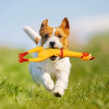 Load image into Gallery viewer, Squeaking Chicken Toy for Kids & Pets