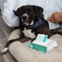 Load image into Gallery viewer, Paws &amp; Pals Pet Grooming Wipes Hypo-Allergenic Cleansing and Deodorizing
