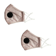 Load image into Gallery viewer, 2-Pack: Multilayer Non-Medical Reusable Face Mask with Filter
