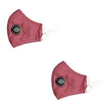 Load image into Gallery viewer, 2-Pack: Multilayer Non-Medical Reusable Face Mask with Filter
