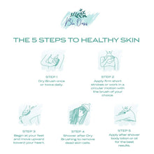 Load image into Gallery viewer, 3-Piece Set: Blu Oasis Premium Dry Brushes with Travel Bag
