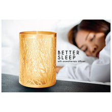 Load image into Gallery viewer, Essential Oil Diffuser
