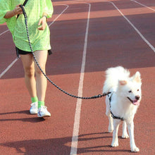 Load image into Gallery viewer, Super Strong Dog Leash with Padded Handle
