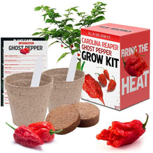 Load image into Gallery viewer, Plant Your Own Garden Grow Kit

