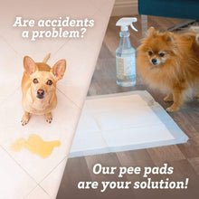 Load image into Gallery viewer, 150-Pack: Puppy Pads Dog Pee Pad for Potty Training Dogs &amp; Cats
