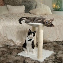 Load image into Gallery viewer, Paws &amp; Pals 3-in-1 Cat Scratching Post with Hammock and Toy
