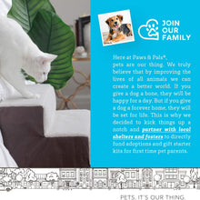 Load image into Gallery viewer, Paws &amp; Pals Padded Pet Stairs
