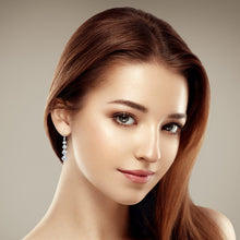 Load image into Gallery viewer, 4 Row Graduated Crystal Drop Earrings
