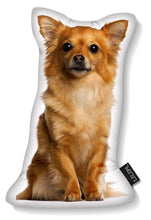 Load image into Gallery viewer, LiLiPi Dog-Shaped Accent Pillow - Assorted Styles
