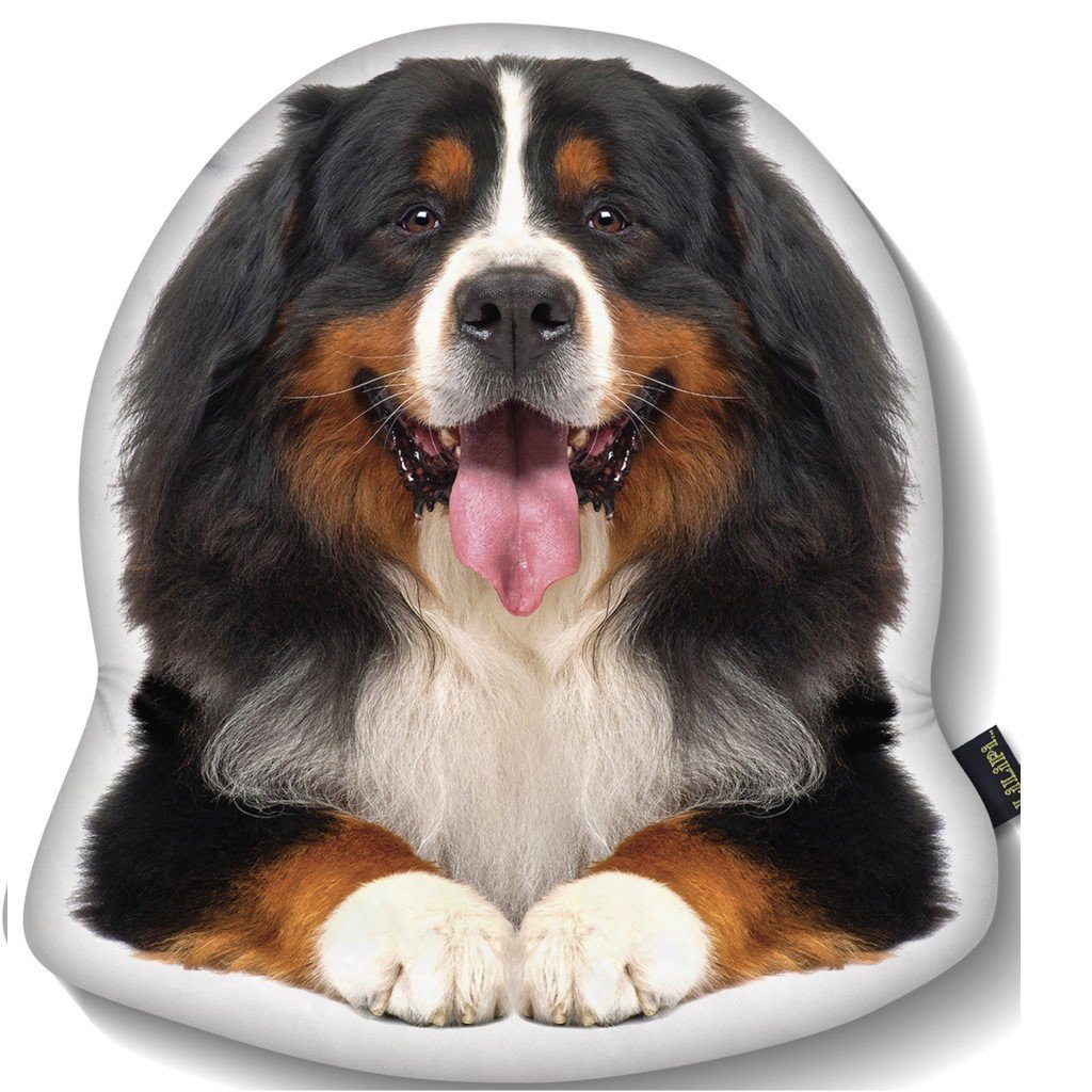 LiLiPi Dog Shaped Accent Pillow Assorted Styles dailysalemkdos