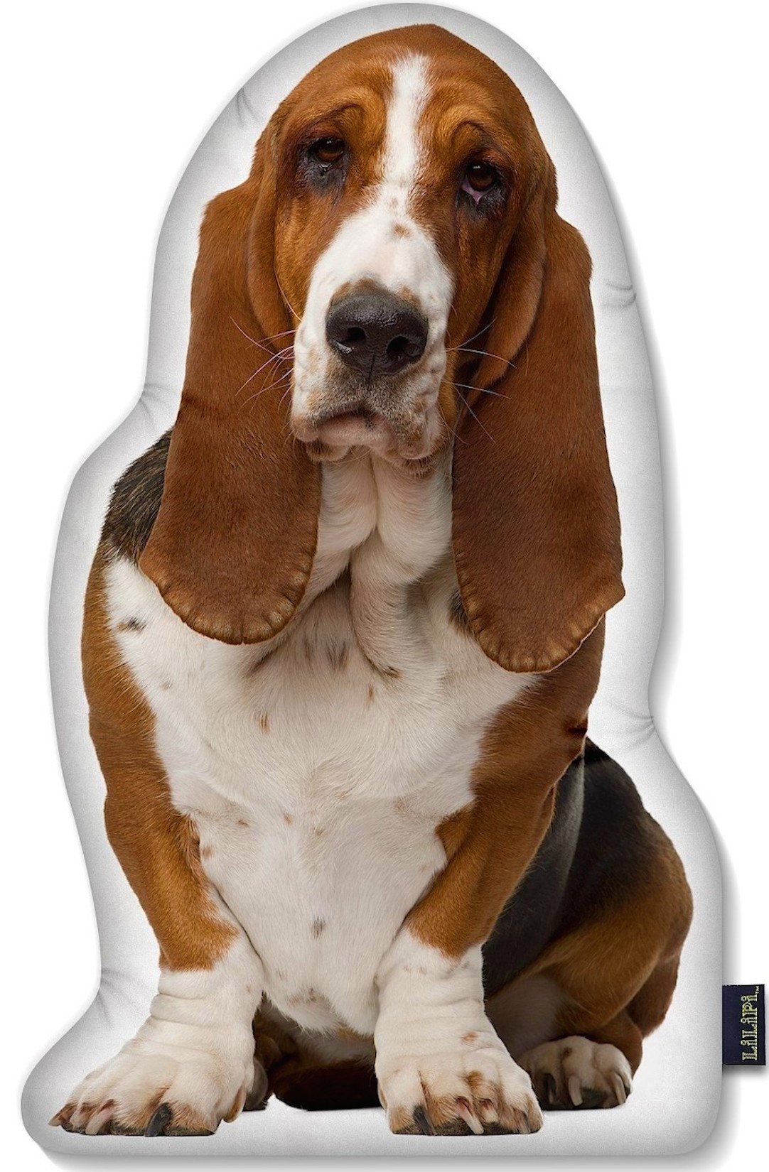 Lilipi dog pillow best sale