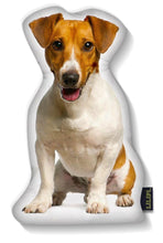 Load image into Gallery viewer, LiLiPi Dog-Shaped Accent Pillow - Assorted Styles
