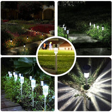 Load image into Gallery viewer, 12-Pack: Stainless Steel Solar Powered Pathway Garden Light
